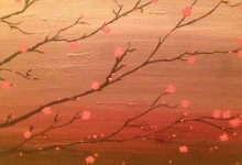 Pink Cherry Blossoms